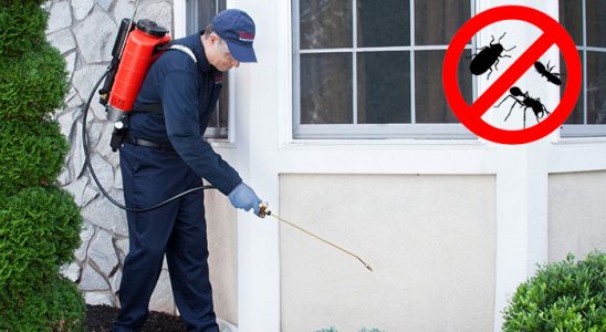 Biga Karınca İlaçlama böcek ilaçlama ve haşere kontrolü — ilaclama-tr.com